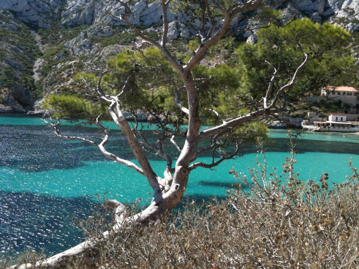 Home A La Mer La Ciotat Luaran gambar